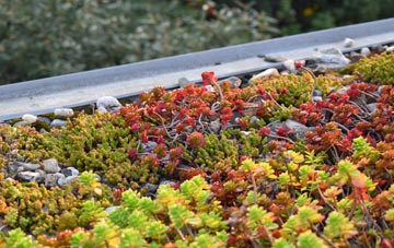 the cost of Henshaw green roof installation