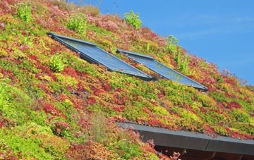 Henshaw living roof systems
